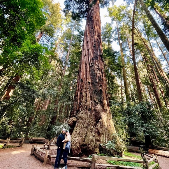 Meet your Posher, Emily - Picture 3 of 7